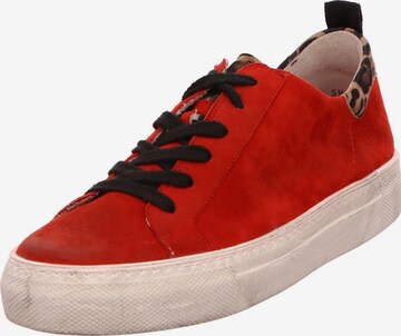 Paul Green Sneakers in Rot: predná strana
