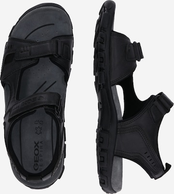 GEOX Trekkingsandal 'Strada' i svart