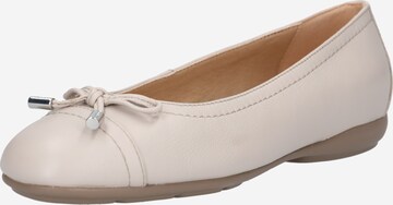 GEOX Ballet Flats 'Annytah' in Grey: front