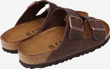 BIRKENSTOCK Mule 'Arizona' in Brown