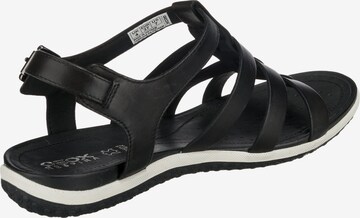 Sandales 'Vega' GEOX en noir