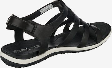 Sandales 'Vega' GEOX en noir