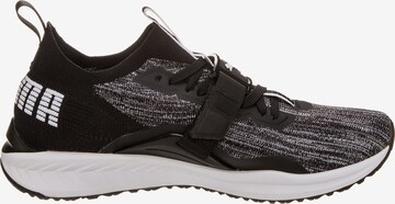 PUMA Sneaker 'Ignite evoKNIT Lo 2' in Schwarz