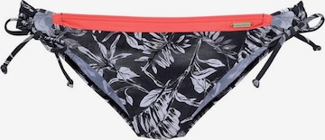 SUNSEEKER Bikini Bottoms in Black: front