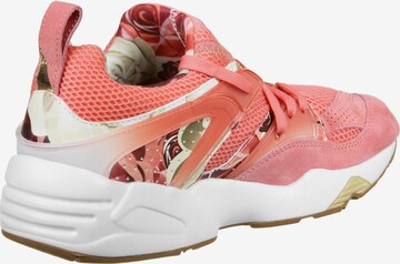 PUMA Sneakers laag 'Bog x Careaux x Graphic' in Roze