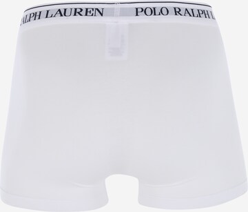 Polo Ralph Lauren Boxershorts 'CLASSIC' in Mischfarben: zadná strana
