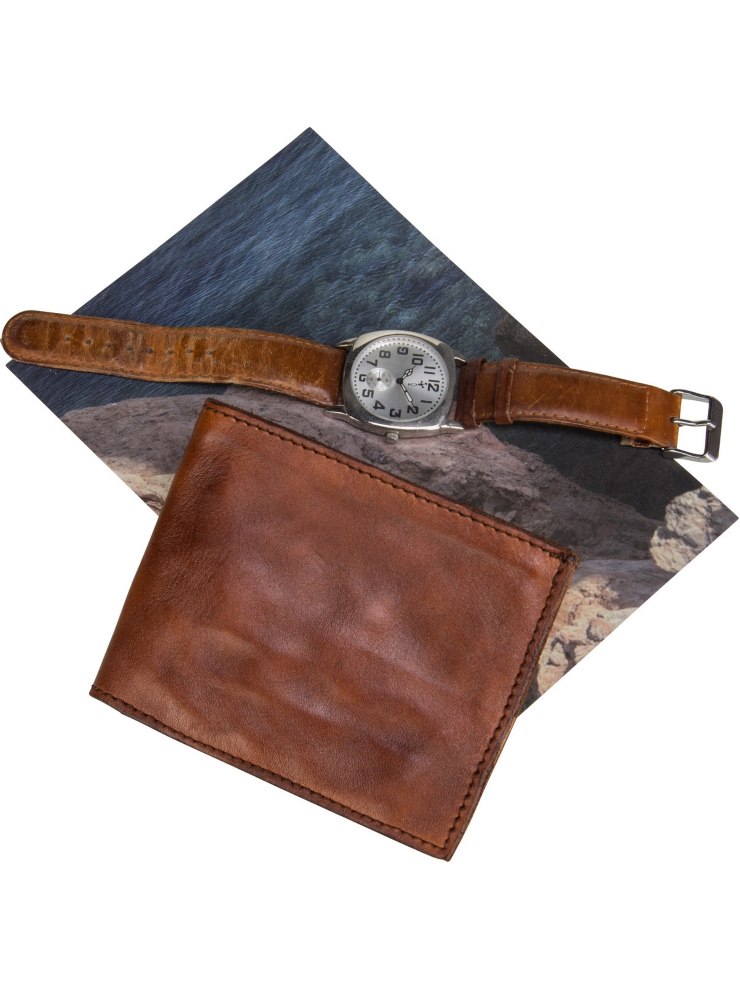 Campomaggi Wallet in Brown