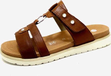 REMONTE Mules in Brown: front