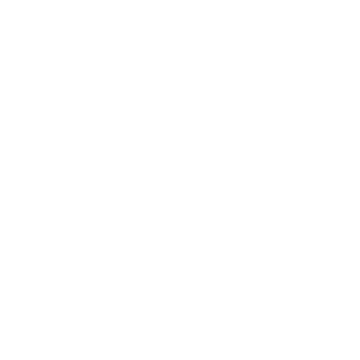 ARMIE Logo