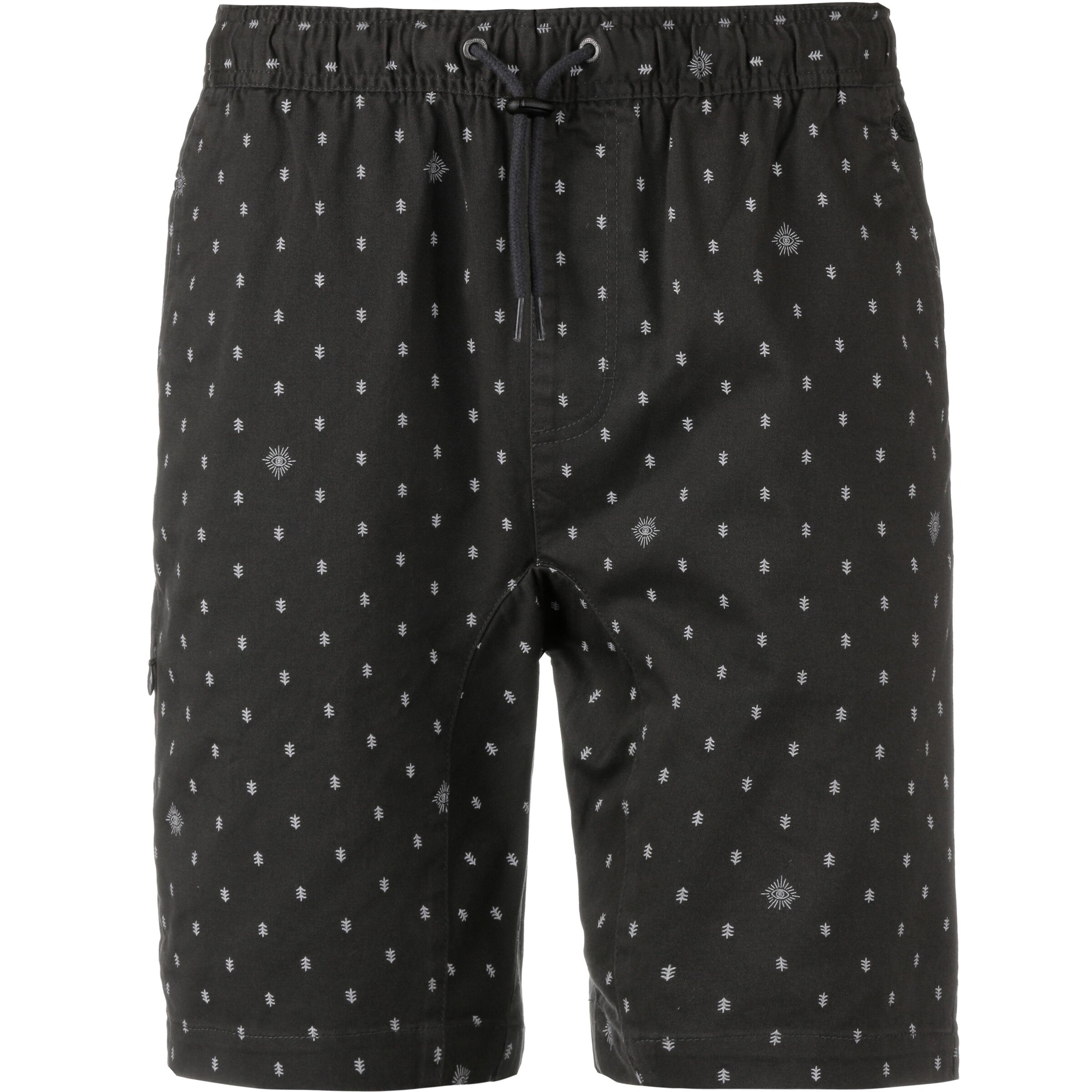 ELEMENT - Shorts 'Altona' in hellgrau