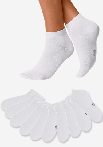 H.I.S - regular Calcetines invisibles en blanco: frente