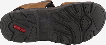 Rieker Sandals in Brown