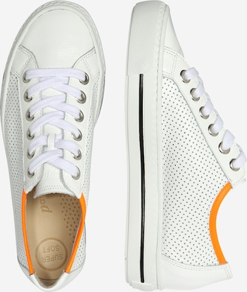 Paul Green Sneakers in White