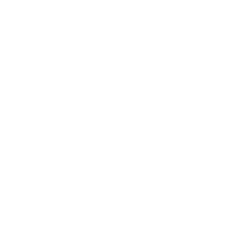 VINSON Logo