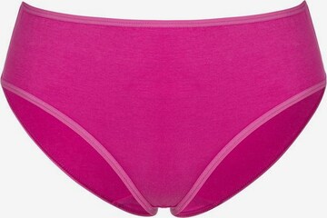 GO IN Panty in Mixed colors