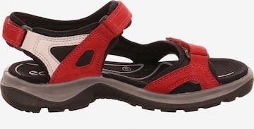 ECCO Hiking Sandals in Red
