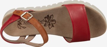 JOSEF SEIBEL Sandalen met riem 'Thea 05' in Rood