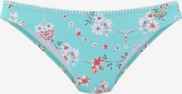 SUNSEEKER Bikinibroek 'Ditsy' in Blauw: voorkant