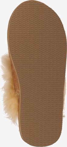 SHEPHERD Slipper in Brown