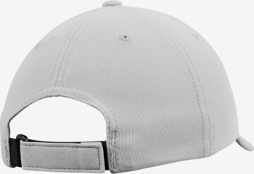 Cappello da baseball '110 Cool & Dry Mini' di Flexfit in grigio