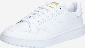 Baskets basses ADIDAS ORIGINALS en blanc : devant