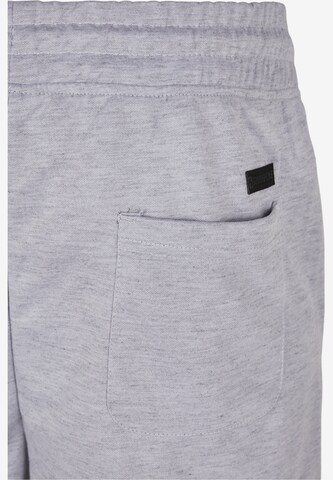 SOUTHPOLE Regular Pants 'Uni' in Grey