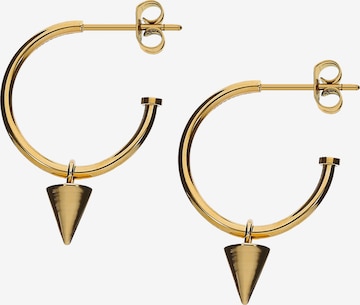 Liebeskind Berlin Earrings in Gold: front