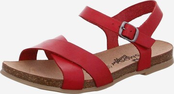 COSMOS COMFORT Sandals in Red: front