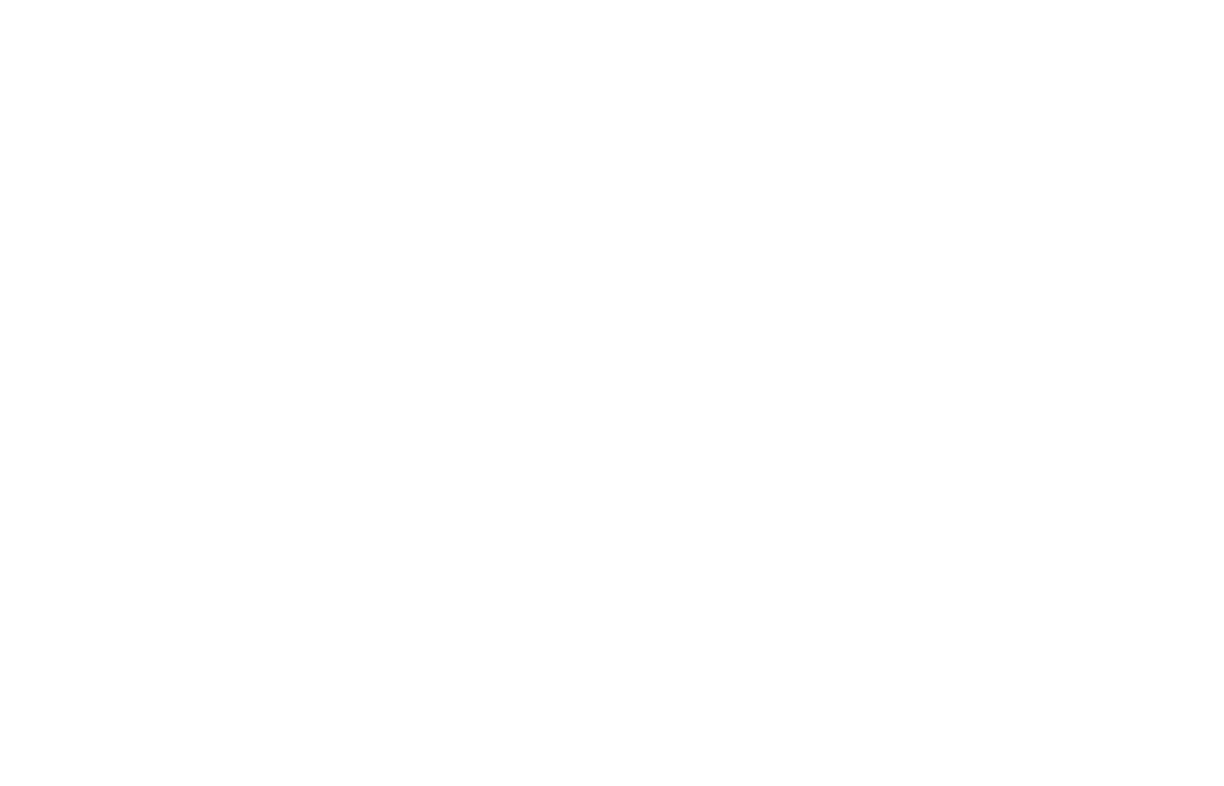 BIDI BADU Logo