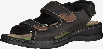 ROHDE Sandals in Black: front