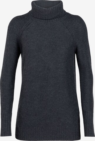 ICEBREAKER Sweater 'Waypoint' in Grau: predná strana