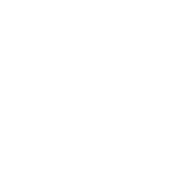 mint & mia Logo