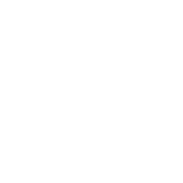 STOY Logo