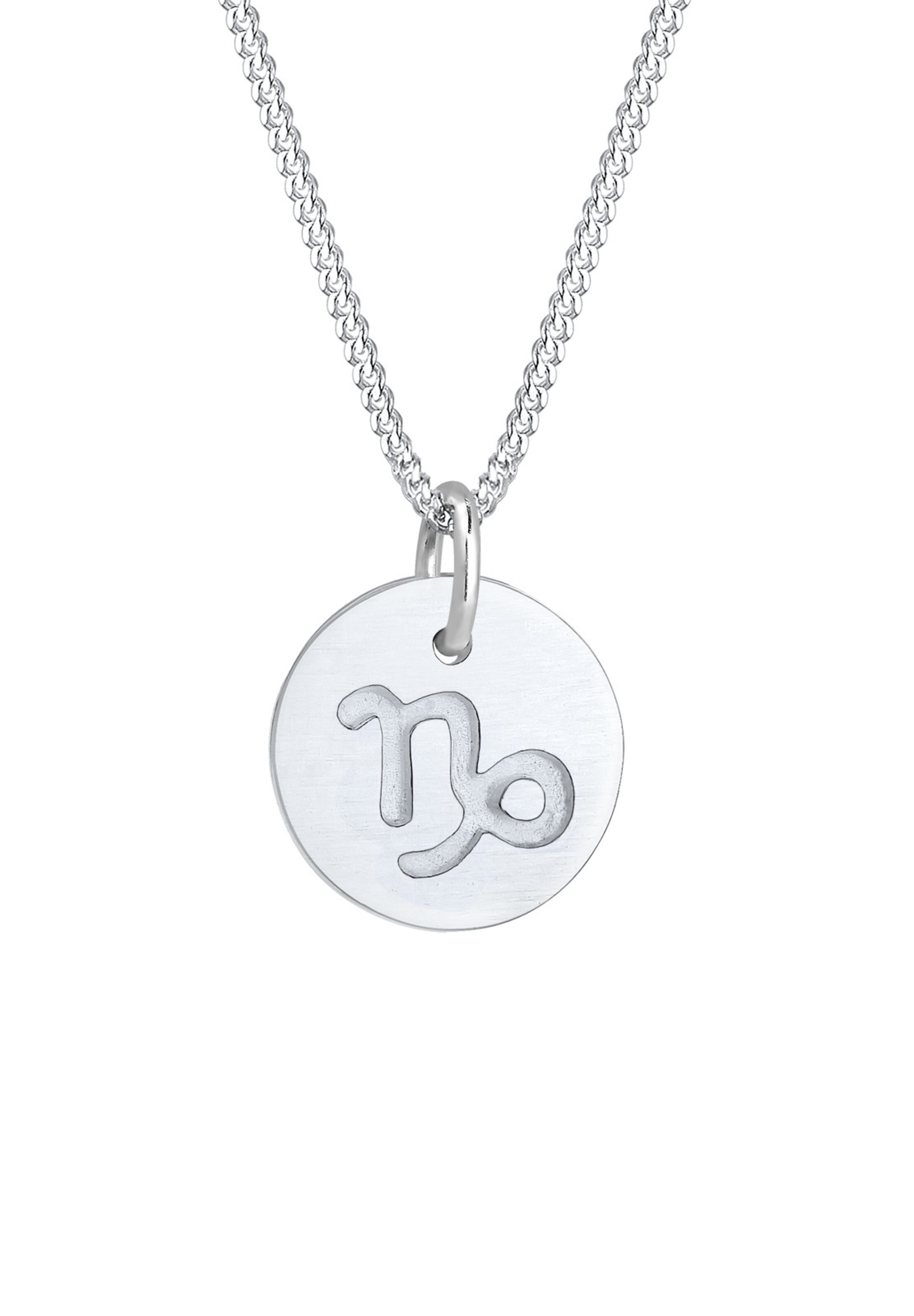 ELLI Ketting 'Steinbock' in Zilver