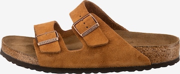 BIRKENSTOCK Klapki 'Arizona' w kolorze brązowy