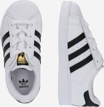 ADIDAS ORIGINALS - Sapatilhas 'Superstar' em branco