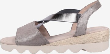 GABOR Strap Sandals in Grey