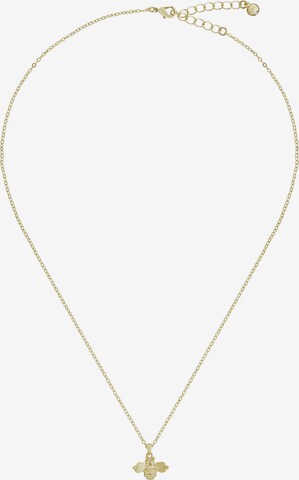 Ted Baker Ketting 'BELLEMA' in Goud: voorkant