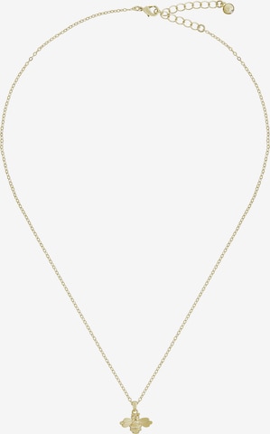 Ted Baker Necklace 'BELLEMA' in Gold: front