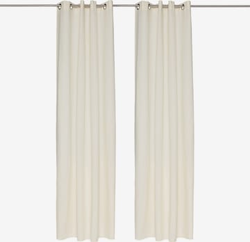 TOM TAILOR Curtains & Drapes in Beige: front