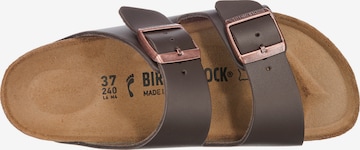 BIRKENSTOCK Pantofle 'Arizona' – hnědá