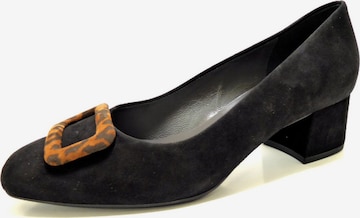 PETER KAISER Pumps in Black: front