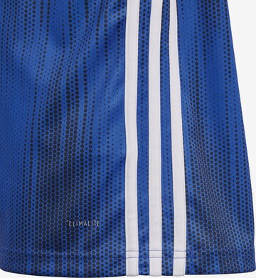 ADIDAS PERFORMANCE Trikot 'Tiro 19' in Blau