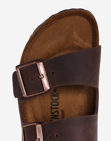 BIRKENSTOCK Pantofle 'Arizona' – hnědá