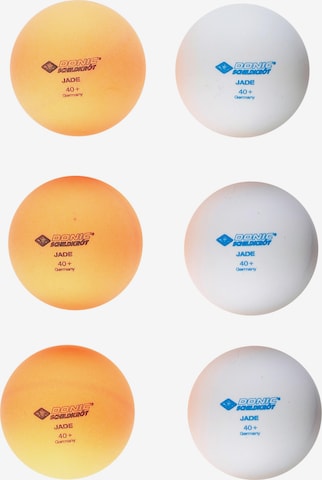 Donic-Schildkröt Ball in Orange: front