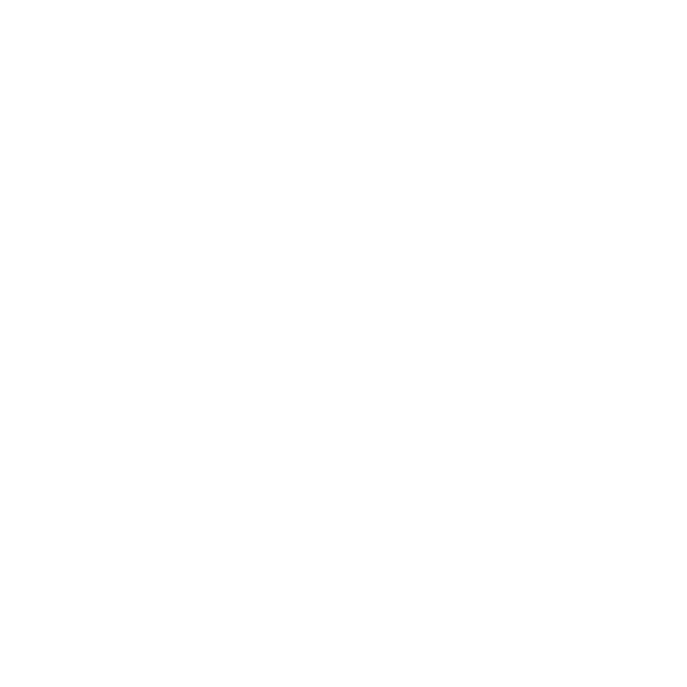 Sergio Tacchini Logo