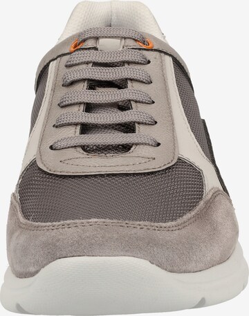 GEOX Sneaker 'Erast' in Grau