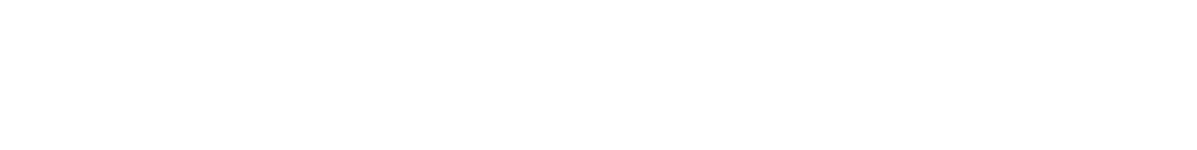 TRIANGLE Logo