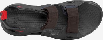 THE NORTH FACE Sandals 'Hedgehog' in Black