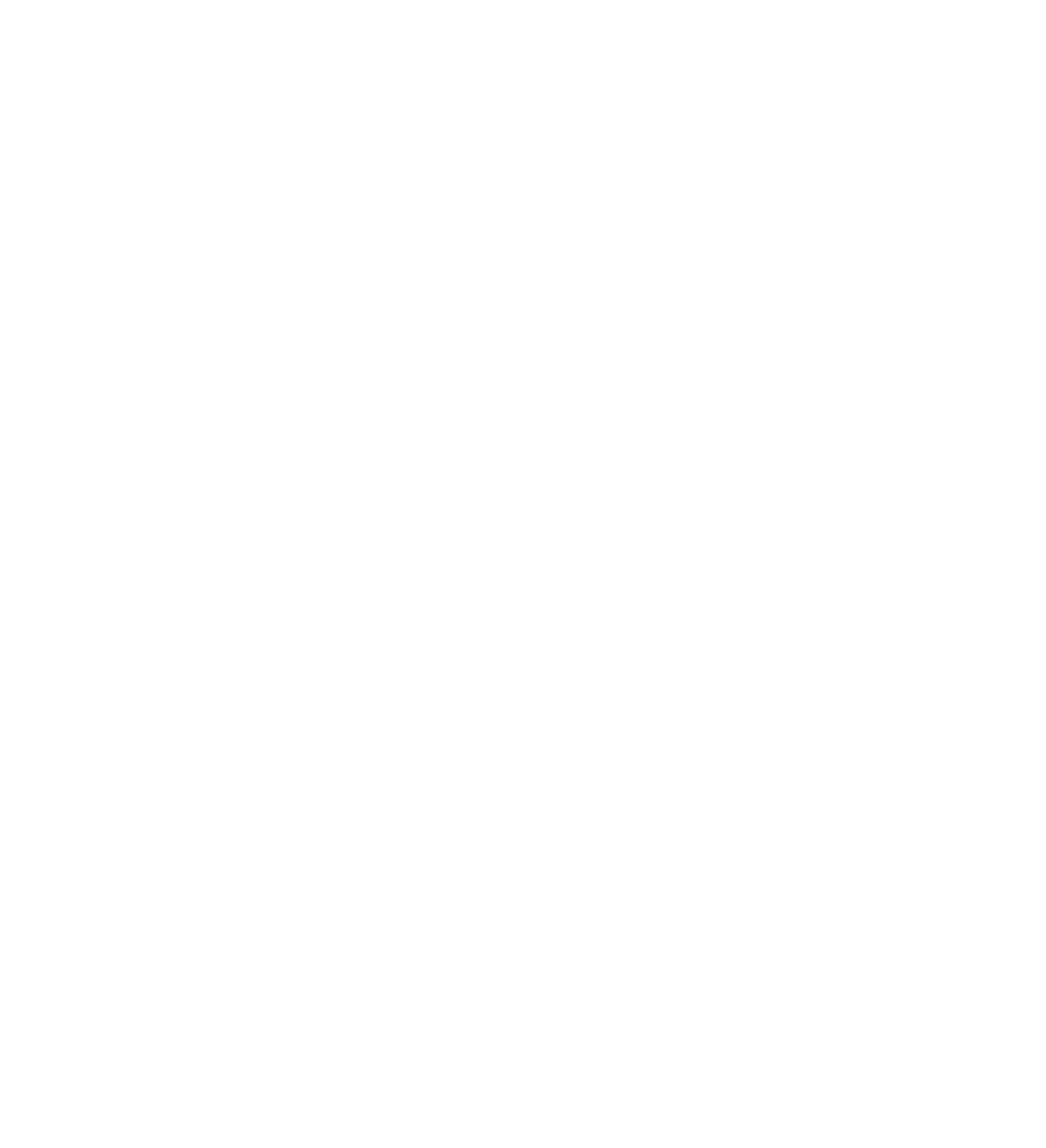 Roxy Logo